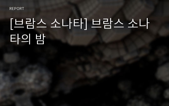 [브람스 소나타] 브람스 소나타의 밤