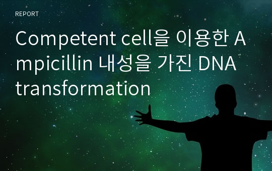 Competent cell을 이용한 Ampicillin 내성을 가진 DNA transformation