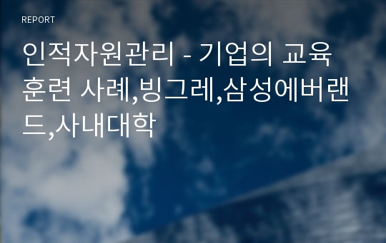 인적자원관리 - 기업의 교육훈련 사례,빙그레,삼성에버랜드,사내대학