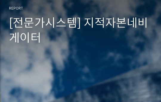 [전문가시스템] 지적자본네비게이터