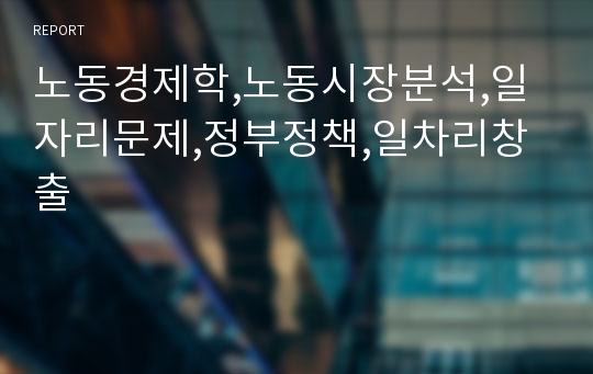 노동경제학,노동시장분석,일자리문제,정부정책,일차리창출