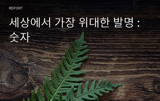 세상에서 가장 위대한 발명 : 숫자