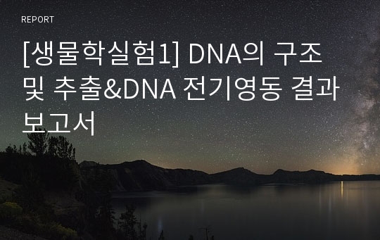 [생물학실험1] DNA의 구조 및 추출&amp;DNA 전기영동 결과보고서