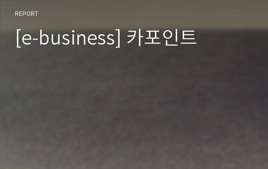 [e-business] 카포인트
