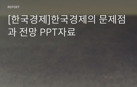 [한국경제]한국경제의 문제점과 전망 PPT자료