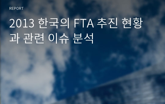 2013 한국의 FTA 추진 현황과 관련 이슈 분석