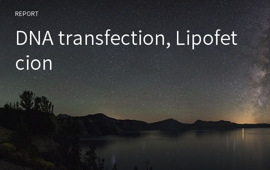DNA transfection, Lipofetcion