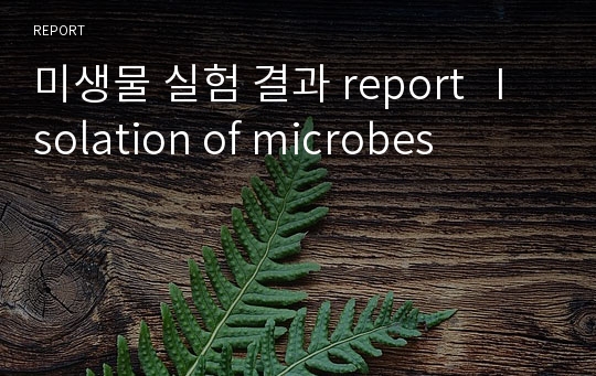 미생물 실험 결과 report   Isolation of microbes