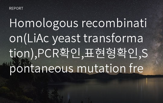 Homologous recombination(LiAc yeast transformation),PCR확인,표현형확인,Spontaneous mutation frequency