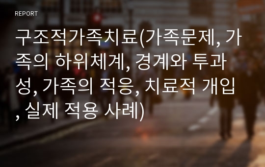 구조적가족치료(가족문제, 가족의 하위체계, 경계와 투과성, 가족의 적응, 치료적 개입, 실제 적용 사례)