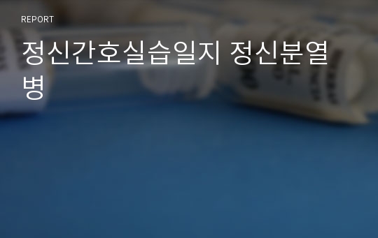 정신간호실습일지 정신분열병