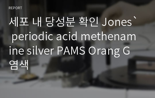 세포 내 당성분 확인 Jones` periodic acid methenamine silver PAMS Orang G 염색