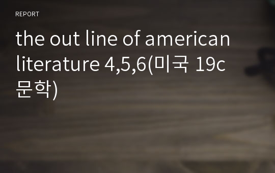 the out line of american literature 4,5,6(미국 19c 문학)