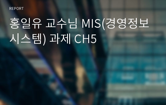 홍일유 교수님 MIS(경영정보시스템) 과제 CH5