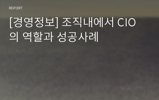 [경영정보] 조직내에서 CIO의 역할과 성공사례