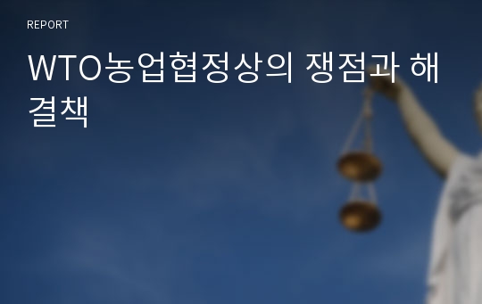 WTO농업협정상의 쟁점과 해결책