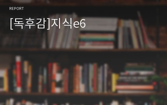 [독후감]지식e6