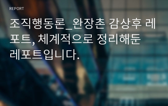 조직행동론_완장촌 감상후 레포트, 체계적으로 정리해둔 레포트입니다.