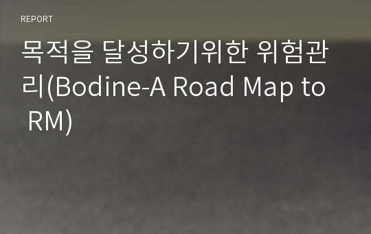 목적을 달성하기위한 위험관리(Bodine-A Road Map to RM)