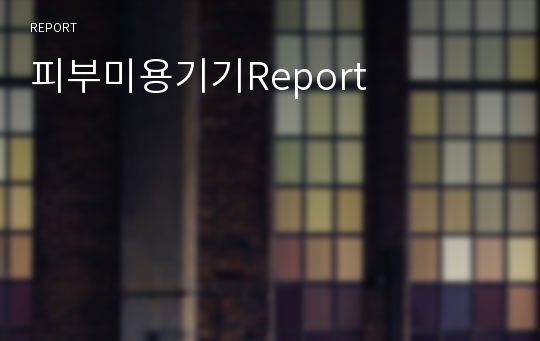 피부미용기기Report