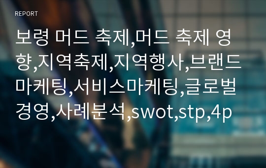 보령 머드 축제,머드 축제 영향,지역축제,지역행사,브랜드마케팅,서비스마케팅,글로벌경영,사례분석,swot,stp,4p