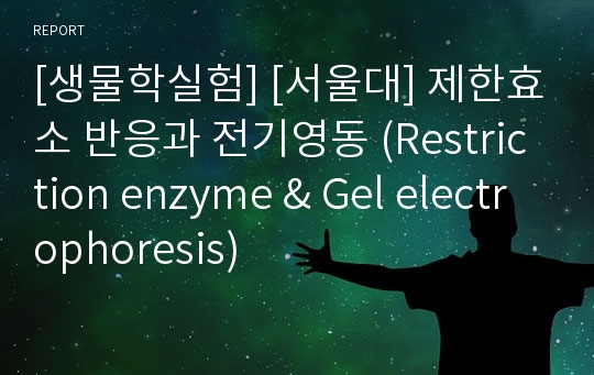 [생물학실험] [서울대] 제한효소 반응과 전기영동 (Restriction enzyme &amp; Gel electrophoresis)