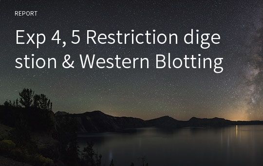 Exp 4, 5 Restriction digestion &amp; Western Blotting