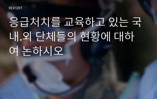 응급처치를 교육하고 있는 국내.외 단체들의 현황에 대하여 논하시오