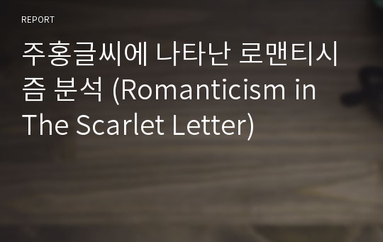 주홍글씨에 나타난 로맨티시즘 분석 (Romanticism in The Scarlet Letter)