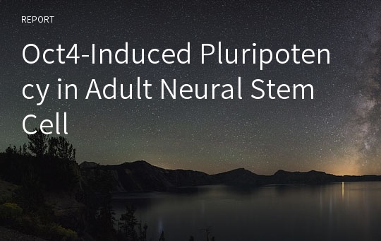 Oct4-Induced Pluripotency in Adult Neural Stem Cell