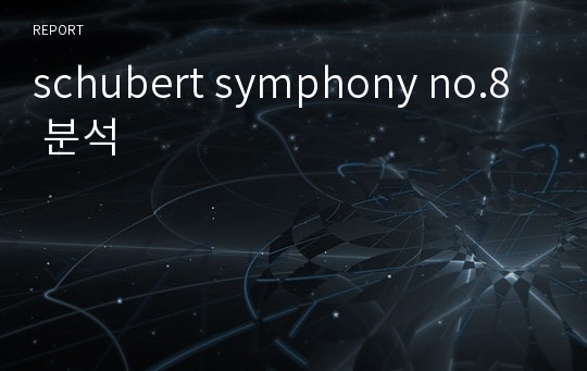 schubert symphony no.8 분석
