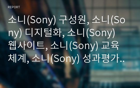 소니(Sony) 구성원, 소니(Sony) 디지털화, 소니(Sony) 웹사이트, 소니(Sony) 교육체계, 소니(Sony) 성과평가시스템, 소니(Sony) 네트워크조직,디지털 전략