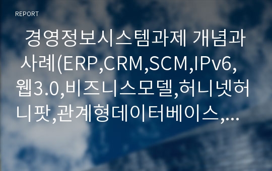   경영정보시스템과제 개념과 사례(ERP,CRM,SCM,IPv6,웹3.0,비즈니스모델,허니넷허니팟,관계형데이터베이스,정규화/고일상교수님)