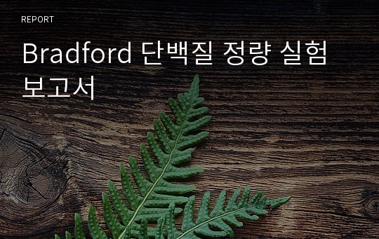 Bradford 단백질 정량 실험보고서