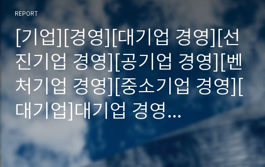 [기업][경영][대기업 경영][선진기업 경영][공기업 경영][벤처기업 경영][중소기업 경영][대기업]대기업 경영, 선진기업 경영, 공기업 경영, 벤처기업 경영,중소기업 경영 분석