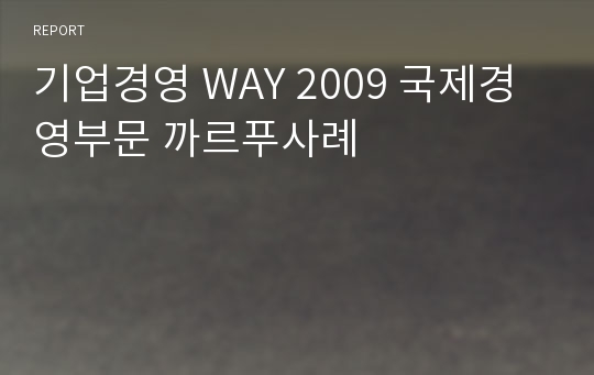 기업경영 WAY 2009 국제경영부문 까르푸사례