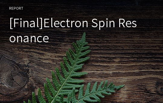 [Final]Electron Spin Resonance