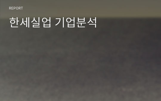 한세실업 기업분석