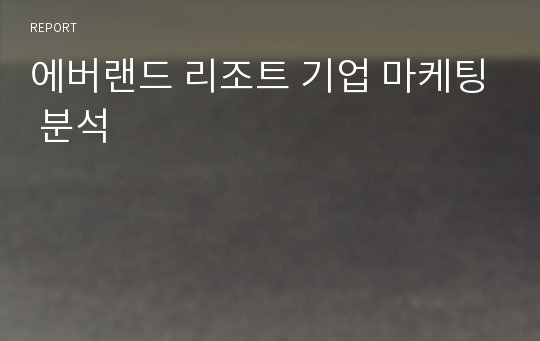 에버랜드 리조트 기업 마케팅 분석