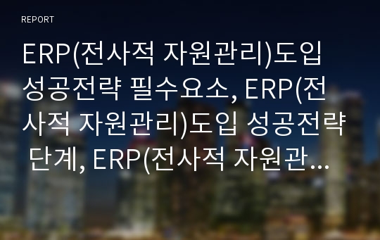 ERP(전사적 자원관리)도입 성공전략 필수요소, ERP(전사적 자원관리)도입 성공전략 단계, ERP(전사적 자원관리)도입 성공전략 고려사항, ERP(전사적 자원관리)도입 발전방향