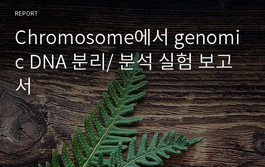 Chromosome에서 genomic DNA 분리/ 분석 실험 보고서