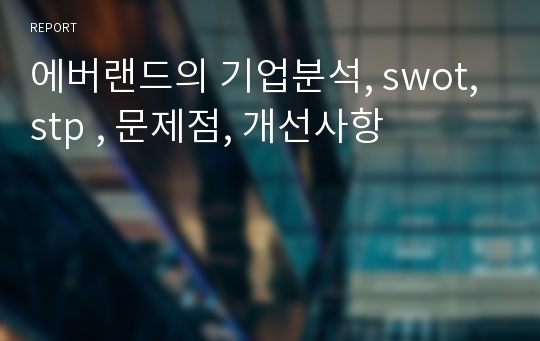 에버랜드의 기업분석, swot, stp , 문제점, 개선사항