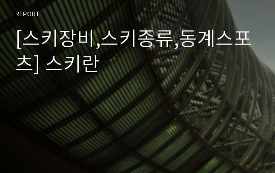 [스키장비,스키종류,동계스포츠] 스키란