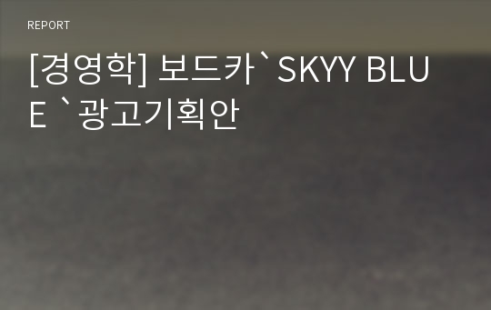 [경영학] 보드카`SKYY BLUE `광고기획안