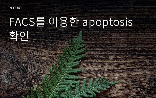 FACS를 이용한 apoptosis 확인