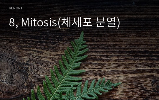 8, Mitosis(체세포 분열)