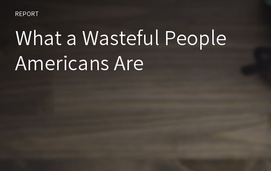 What a Wasteful People Americans Are