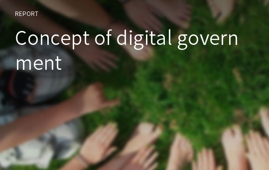 Concept of digital government