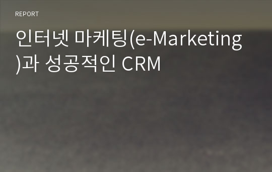인터넷 마케팅(e-Marketing)과 성공적인 CRM