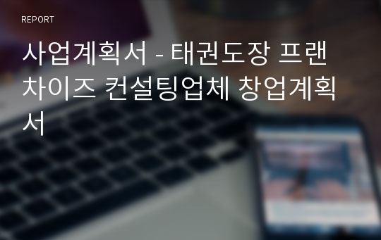 사업계획서 - 태권도장 프랜차이즈 컨설팅업체 창업계획서